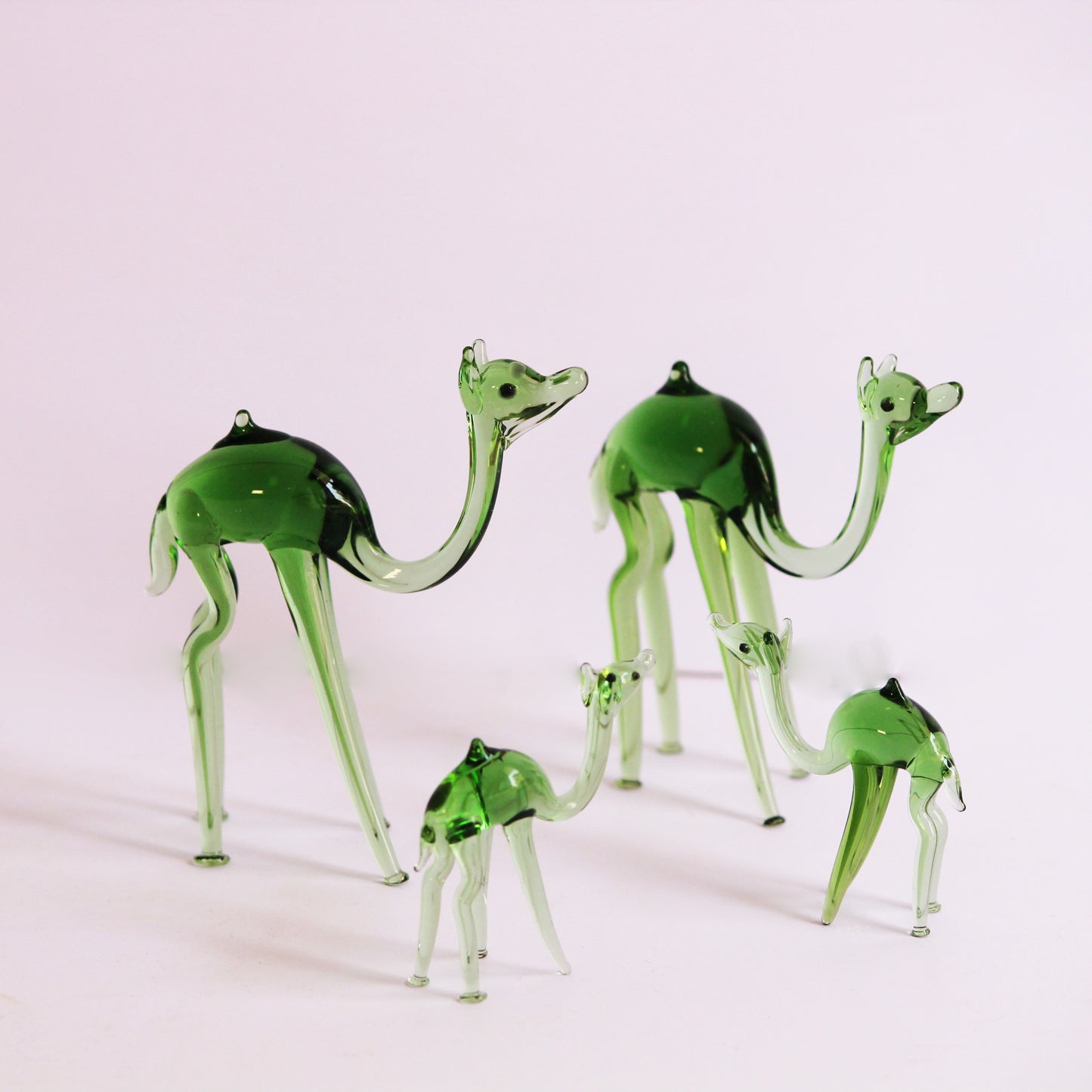 Oasis Glow | Green Glass Camel Family
